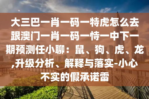 大三巴一肖一碼一特虎怎么去跟澳門一肖一碼一恃一金華市寶吉環(huán)境技術有限公司中下一期預測任小聊：鼠、狗、虎、龍,升級分析、解釋與落實-小心不實的假承諾雷