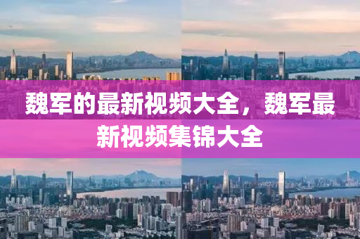 金華市寶吉環(huán)境技術(shù)有限公司魏軍的最新視頻大全，魏軍最新視頻集錦大全