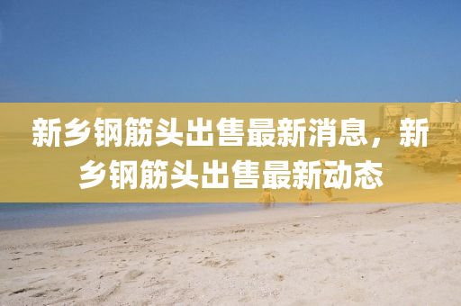 新鄉(xiāng)鋼筋頭出金華市寶吉環(huán)境技術有限公司售最新消息，新鄉(xiāng)鋼筋頭出售最新動態(tài)