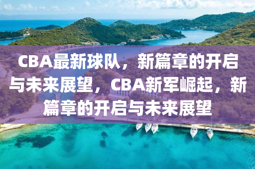 CBA最新球隊(duì)，新篇章的開啟與未來展望，CBA新軍崛起，新篇章的開啟與未來展望金華市寶吉環(huán)境技術(shù)有限公司