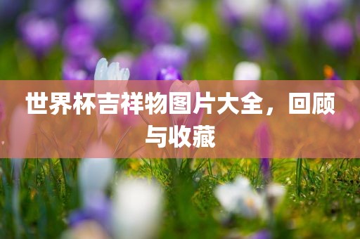 佛招聘最新信息及其深度解讀，佛系招聘最新動(dòng)態(tài)深度解讀報(bào)告金華市寶吉環(huán)境技術(shù)有限公司