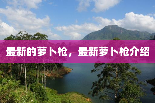 最新的蘿卜槍，最新蘿卜槍介紹金華市寶吉環(huán)境技術(shù)有限公司