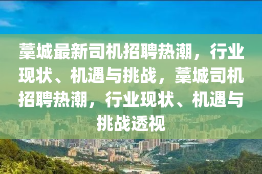 藁城最新司機招聘熱潮，行業(yè)現(xiàn)狀、機遇與挑戰(zhàn)，藁城司機招聘熱潮，行業(yè)現(xiàn)狀、機遇與挑戰(zhàn)透視金華市寶吉環(huán)境技術(shù)有限公司